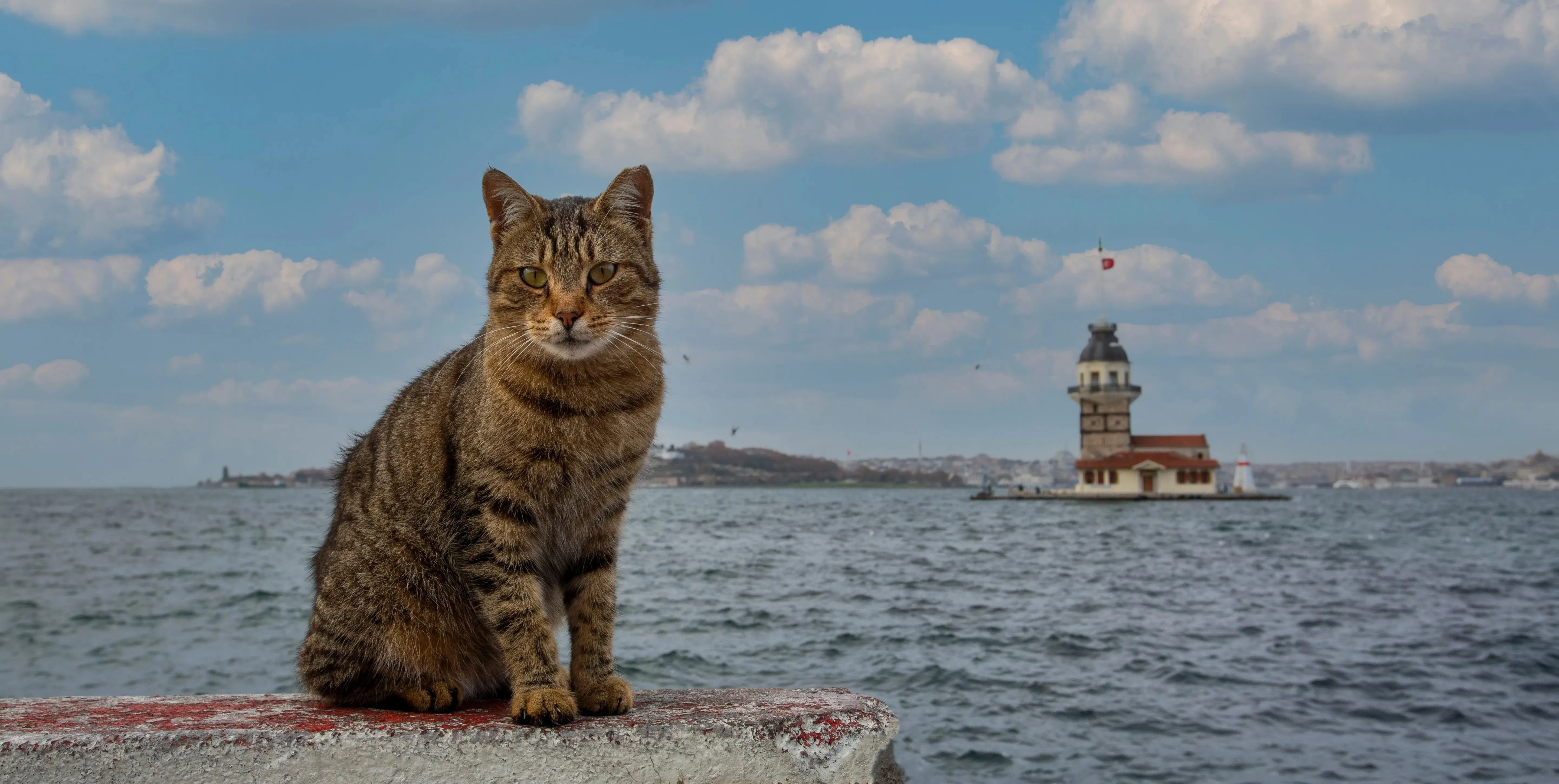 zirkonyum diş kaplama türkiye